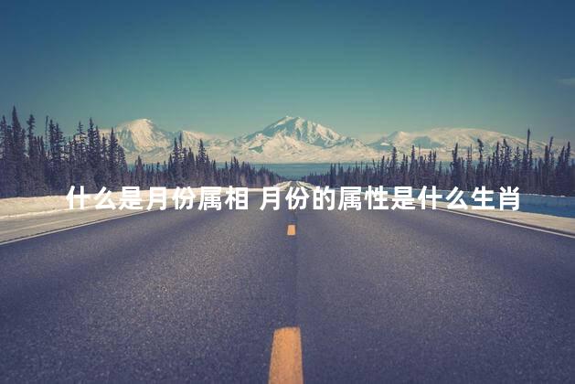 什么是月份属相 月份的属性是什么生肖
